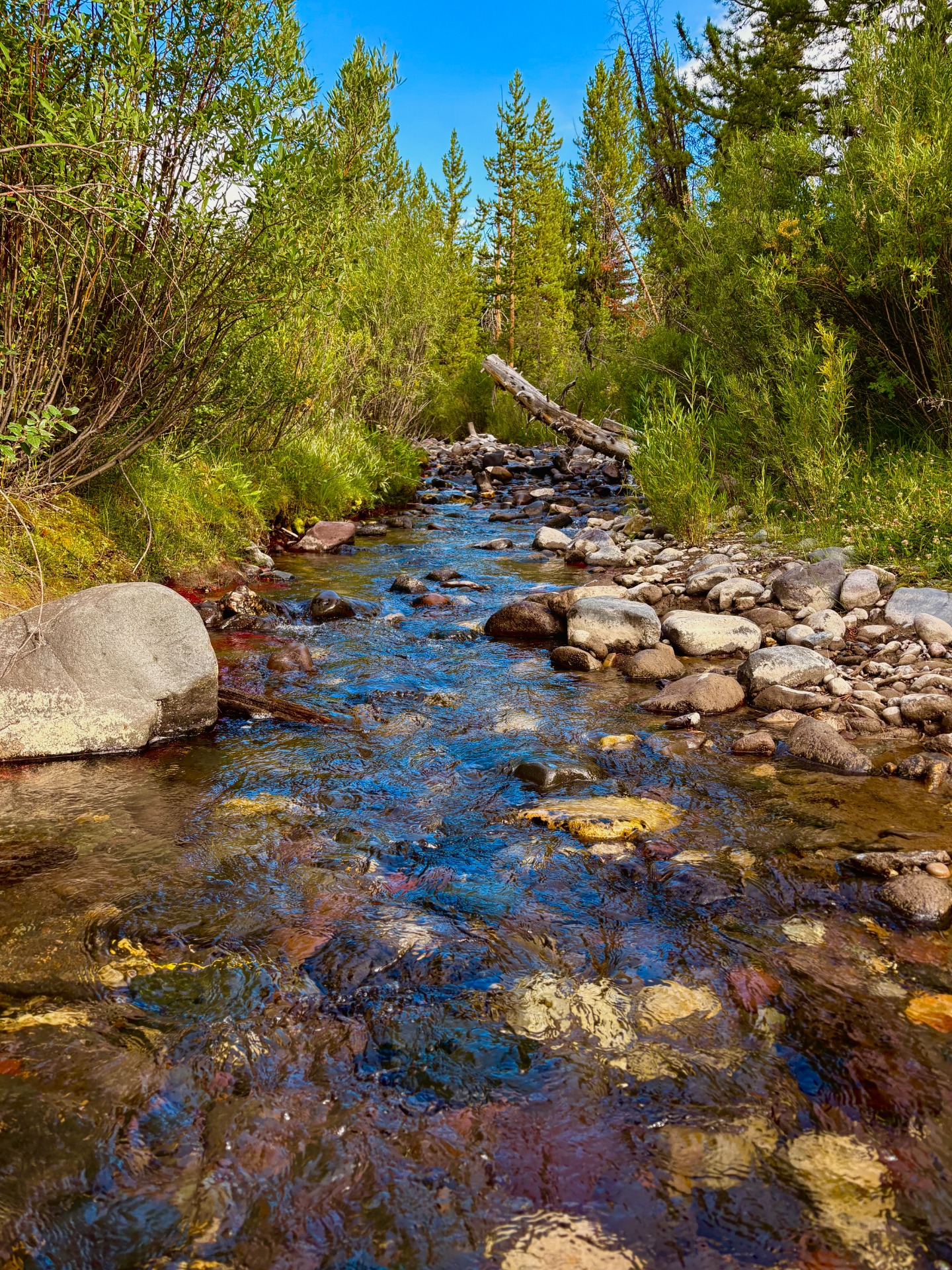 Middle Popo Agie (po-po-juh) River, Lander, WY